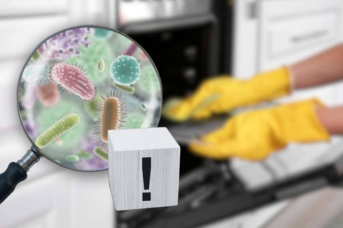 Batteri in cucina posto infestato