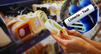 Formaggio amatissimo ritirato dal mercato: rischio Listeria, se ce l’hai non consumarlo