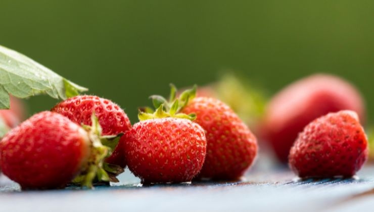 Le fragole possono essere dannose per i pesticidi usati