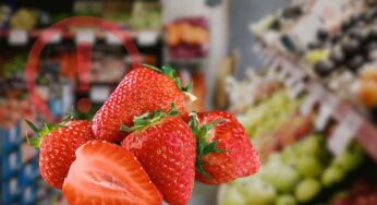 Fragole, è allarme al supermercato: quello che nessuno ti dice