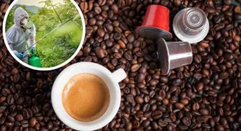 Caffè in cialde: solo 1 marchio su 21 senza pesticidi! Scopri dove trovarlo e come proteggerti.