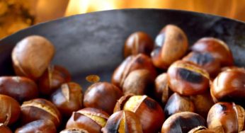 Cuocere le castagne in modo veloce: pronte in 10 minuti e sbucciate in 3 secondi! Scopri il segreto.
