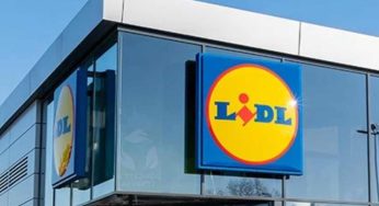 Da Lidl è gia Natale!! Fai il pieno delle prelibatezze natalizie a dei prezzi mai visti